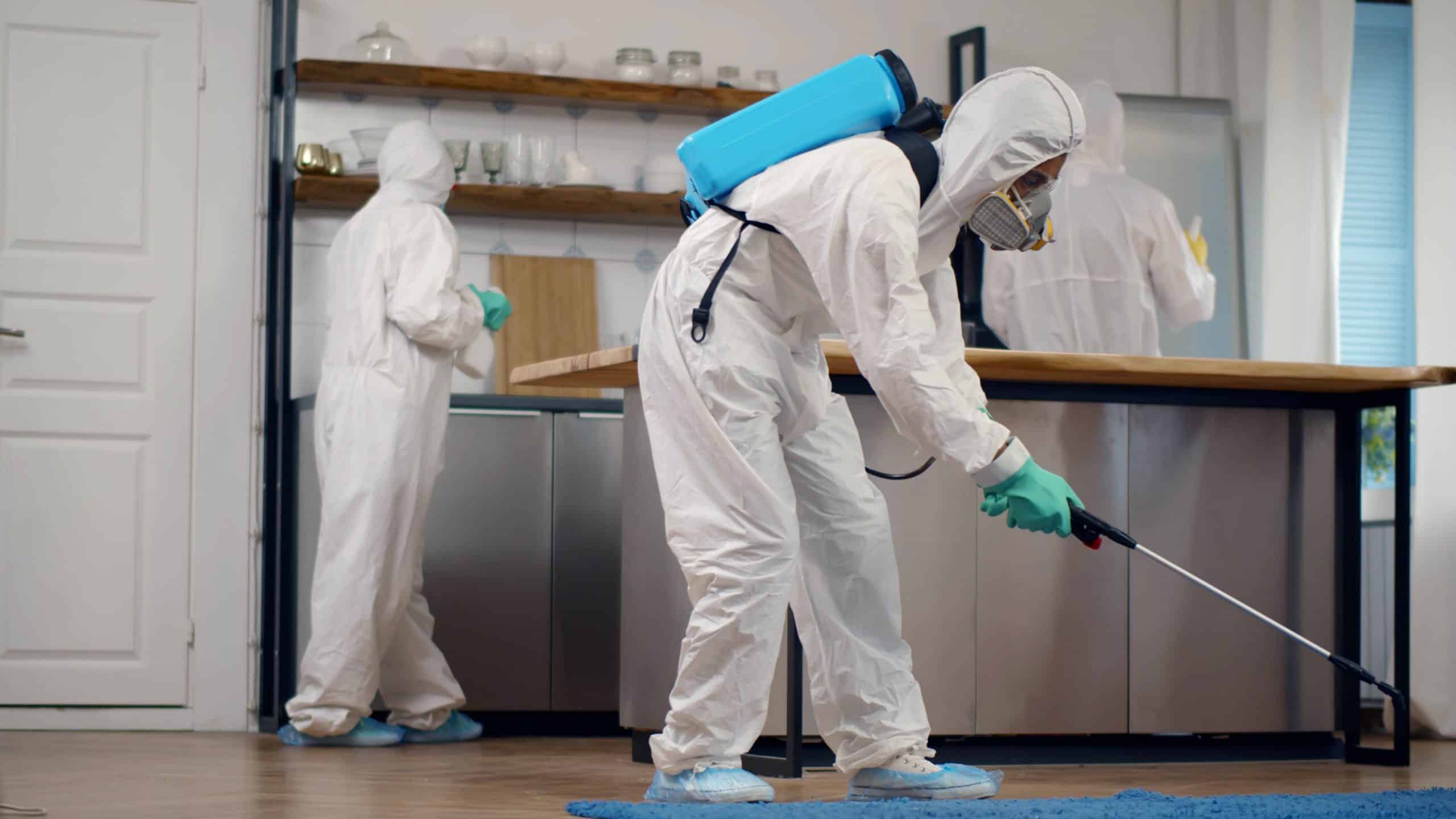 Kammerjäger Notdienst: Verhindern Sie Schädlingsbefall mit Expertenhilfe