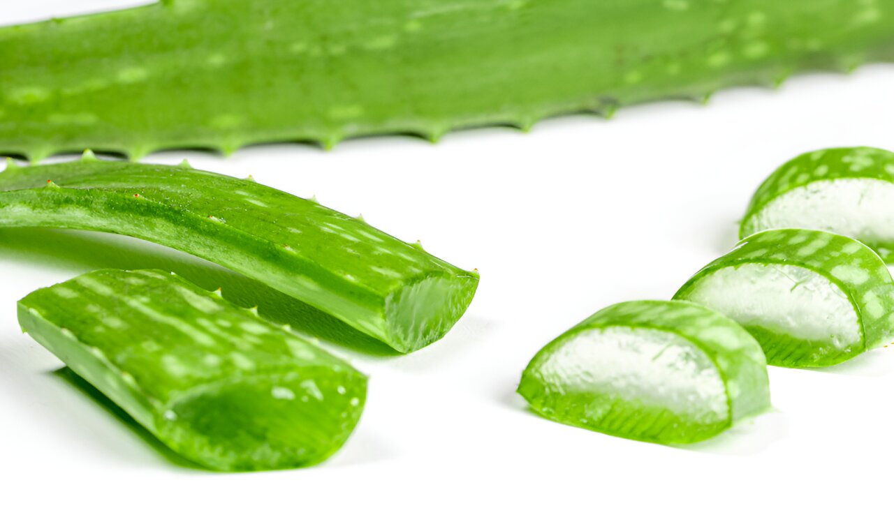 Hautpflege mit der Aloe Propolis Creme von Forever Living Products: Tipps vom Distributor