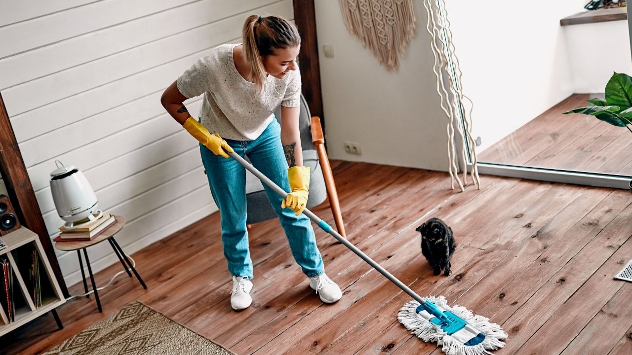 DISE Cleaning – Ihre Reinigungsfirma für perfekte Ordnung & Hygien