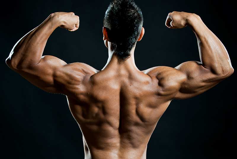 Anabol Kaufen: Für mehr Kraft und Masse im Training
